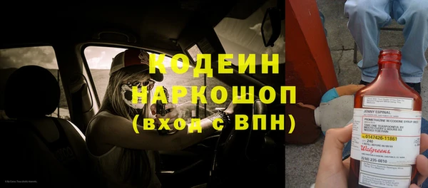 2c-b Инсар