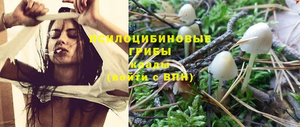 jwh Михайловск