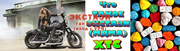 индика Инта