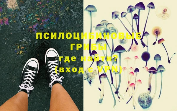 метадон Михайлов
