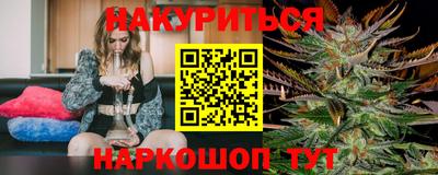 стафф Гатчина