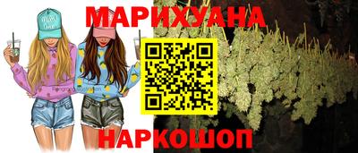 стафф Гатчина