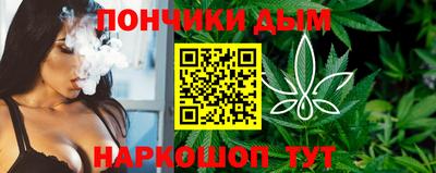 стафф Гатчина