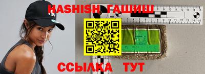стафф Гатчина