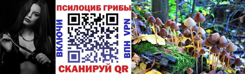 Псилоцибиновые грибы мухоморы Нальчик