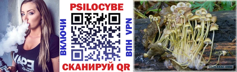 Галлюциногенные грибы ЛСД  omg ССЫЛКА  Нальчик 