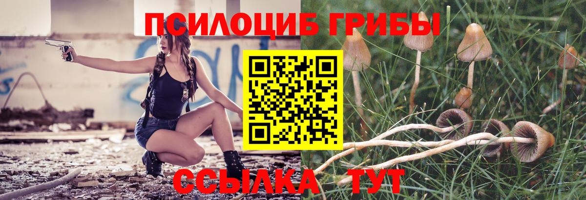 Псилоцибиновые грибы MAGIC MUSHROOMS  Нальчик  Галлюциногенные грибы мухоморы 
