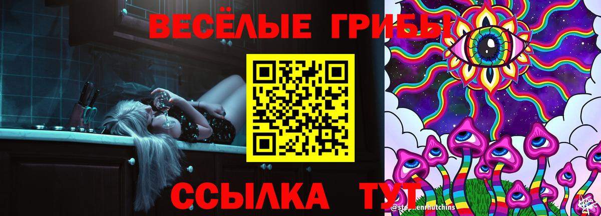Псилоцибиновые грибы Psilocybine cubensis Нальчик