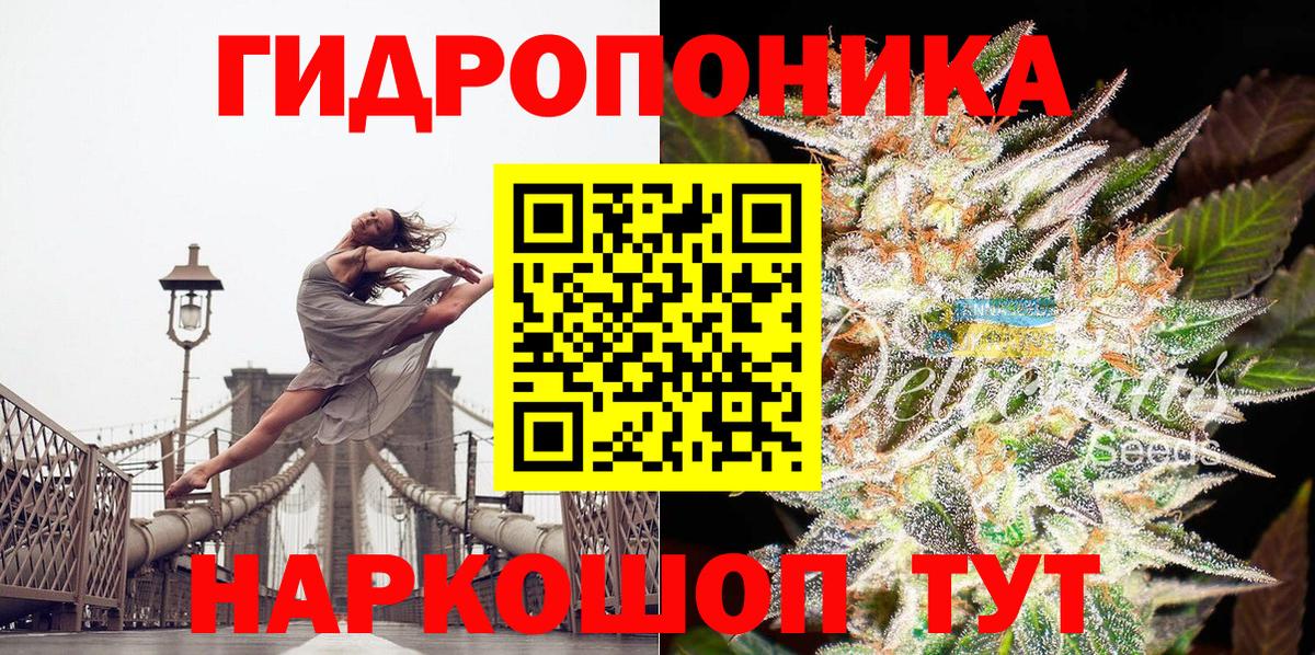 Канабис семена Нальчик