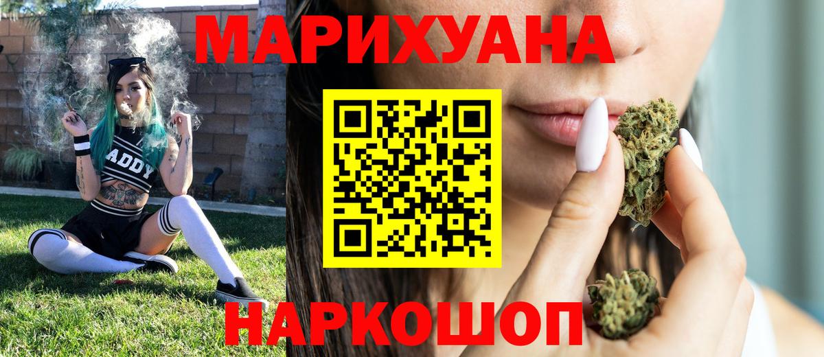 Каннабис индика Нальчик